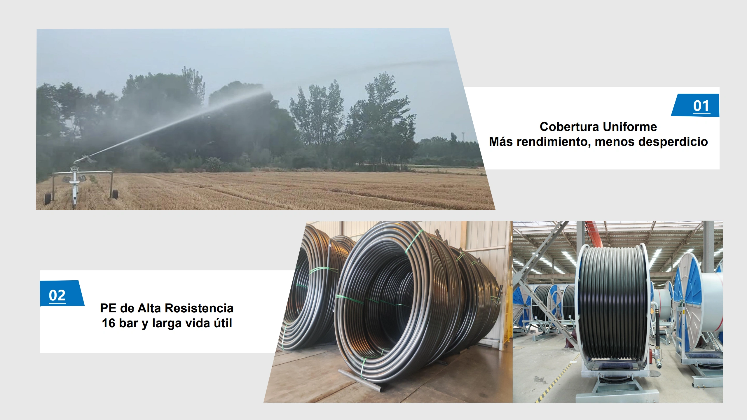 riego-uniforme-alta-eficiencia.webp